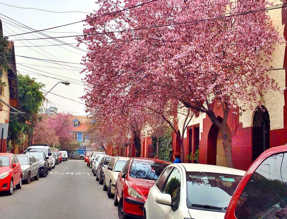 Tralkan B&B ซานติอาโก ภายนอก รูปภาพ